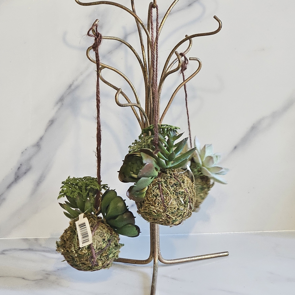 NWT - Hanging Succulent Planter On Mossy Orbs